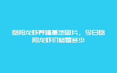 岳阳龙虾养殖基地图片，今日岳阳龙虾价格是多少