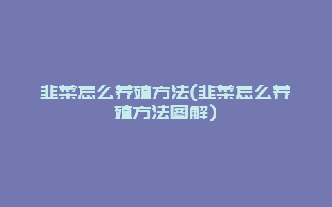 韭菜怎么养殖方法(韭菜怎么养殖方法图解)