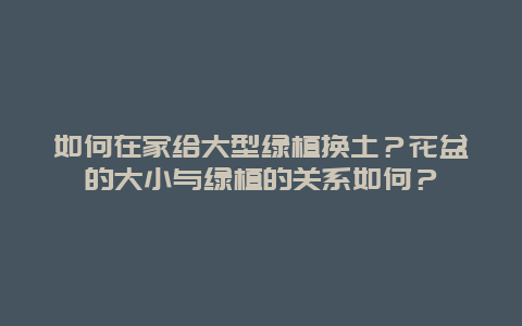 如何在家给大型绿植换土？花盆的大小与绿植的关系如何？