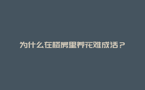 为什么在楼房里养花难成活？