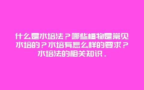 什么是水培法？哪些植物是常见水培的？水培有怎么样的要求？水培法的相关知识。