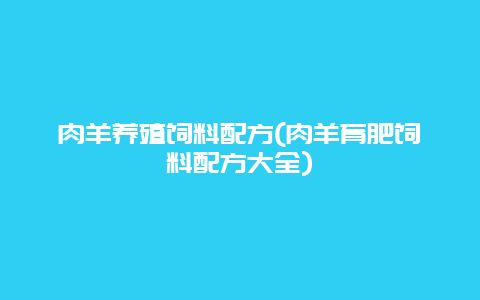 肉羊养殖饲料配方(肉羊育肥饲料配方大全)