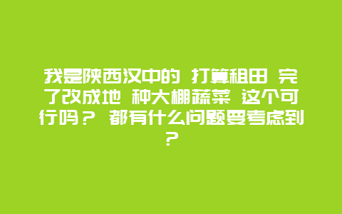 我是陕西汉中的 打算租田 完了改成地 种大棚蔬菜 这个可行吗？ 都有什么问题要考虑到？