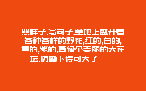 照样子,写句子.草地上盛开着各种各样的野花,红的,白的,黄的,紫的,真像个美丽的大花坛.仿雪下得可大了——