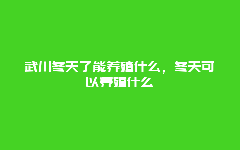 武川冬天了能养殖什么，冬天可以养殖什么