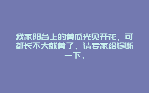 我家阳台上的黄瓜光见开花，可都长不大就黄了，请专家给诊断一下。