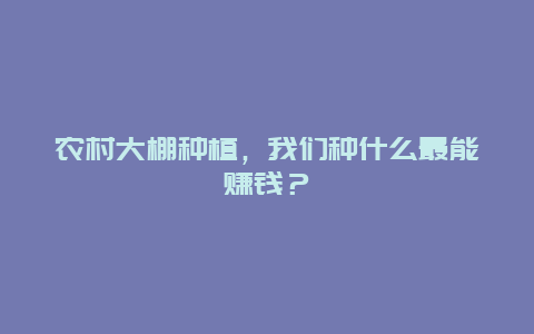 农村大棚种植，我们种什么最能赚钱？