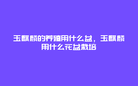 玉麒麟的养殖用什么盆，玉麒麟用什么花盆栽培