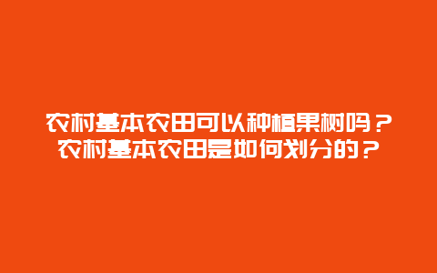 农村基本农田可以种植果树吗？农村基本农田是如何划分的？