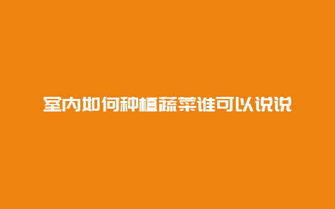 室内如何种植蔬菜谁可以说说