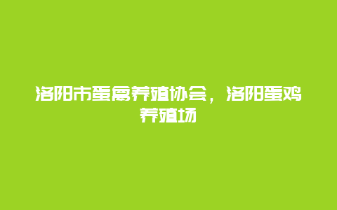 洛阳市蛋禽养殖协会，洛阳蛋鸡养殖场