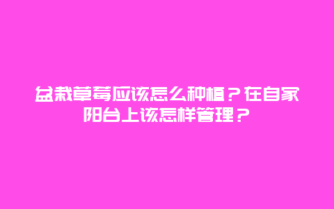 盆栽草莓应该怎么种植？在自家阳台上该怎样管理？