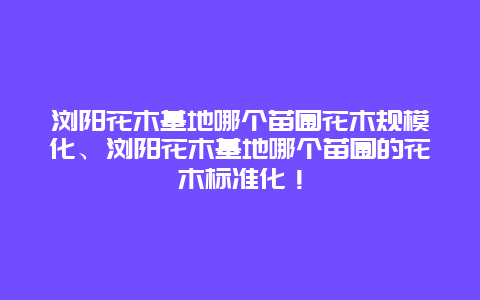 浏阳花木基地哪个苗圃花木规模化、浏阳花木基地哪个苗圃的花木标准化！