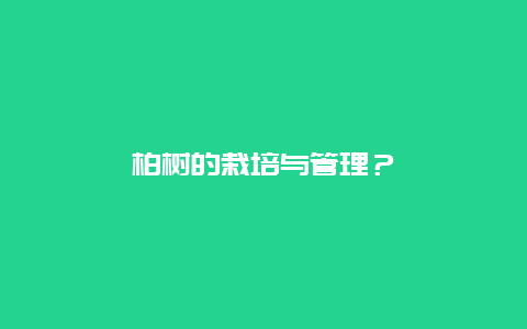 柏树的栽培与管理？