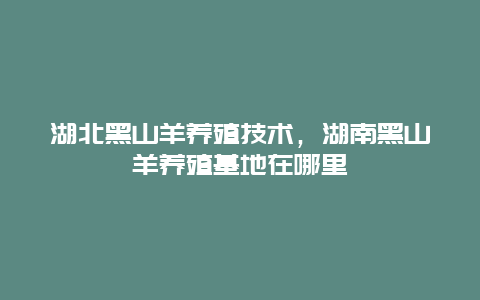 湖北黑山羊养殖技术，湖南黑山羊养殖基地在哪里