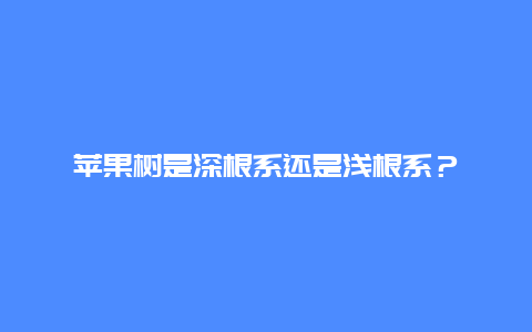 苹果树是深根系还是浅根系？