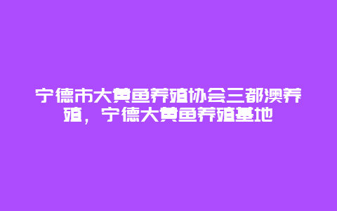 宁德市大黄鱼养殖协会三都澳养殖，宁德大黄鱼养殖基地