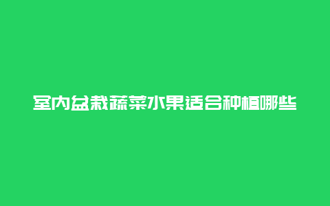 室内盆栽蔬菜水果适合种植哪些