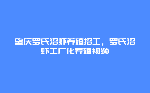 肇庆罗氏沼虾养殖招工，罗氏沼虾工厂化养殖视频