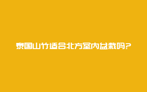 泰国山竹适合北方室内盆栽吗?