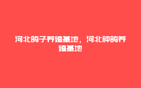 河北鸽子养殖基地，河北种鸽养殖基地