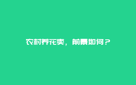 农村养花卖，前景如何？