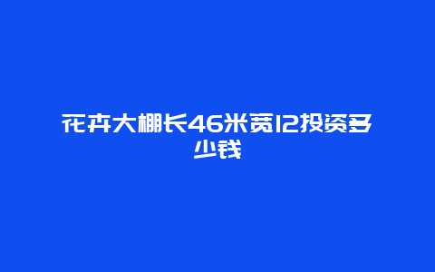 花卉大棚长46米宽12投资多少钱