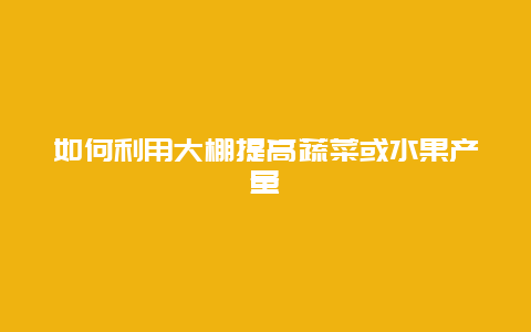 如何利用大棚提高蔬菜或水果产量