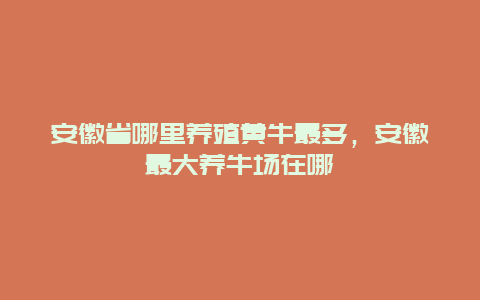 安徽省哪里养殖黄牛最多，安徽最大养牛场在哪