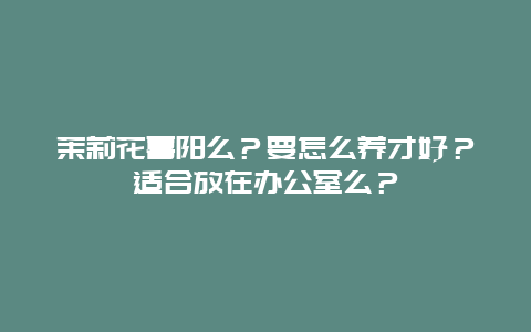 茉莉花喜阳么？要怎么养才好？适合放在办公室么？