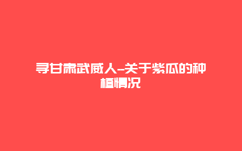 寻甘肃武威人–关于紫瓜的种植情况