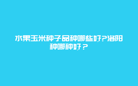 水果玉米种子品种哪些好?洛阳种哪种好？