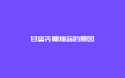 甘蓝先期抽苔的原因