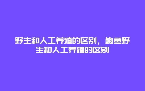 野生和人工养殖的区别，鲍鱼野生和人工养殖的区别