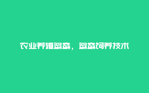 农业养殖鸳鸯，鸳鸯饲养技术