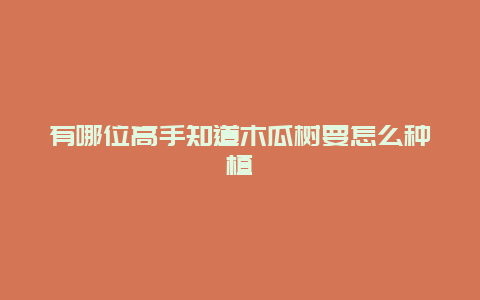 有哪位高手知道木瓜树要怎么种植