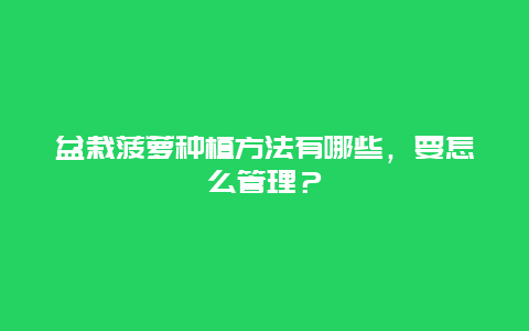 盆栽菠萝种植方法有哪些，要怎么管理？