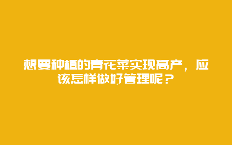 想要种植的青花菜实现高产，应该怎样做好管理呢？