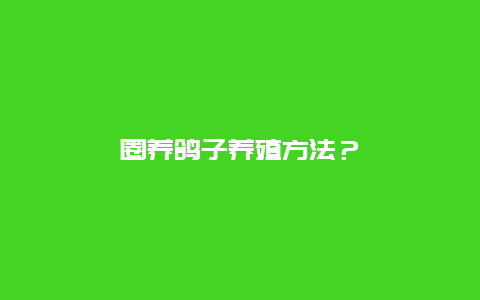 圈养鸽子养殖方法？