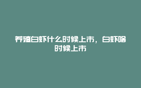 养殖白虾什么时候上市，白虾啥时候上市