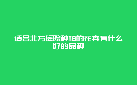 适合北方庭院种植的花卉有什么好的品种