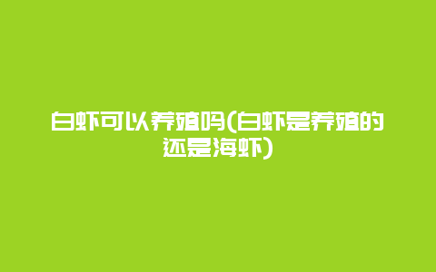 白虾可以养殖吗(白虾是养殖的还是海虾)