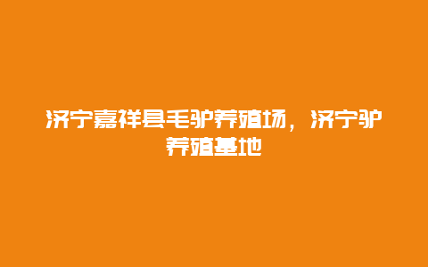 济宁嘉祥县毛驴养殖场，济宁驴养殖基地