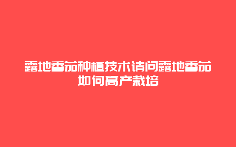 露地番茄种植技术请问露地番茄如何高产栽培