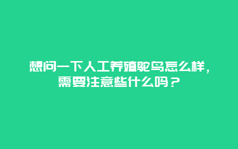 想问一下人工养殖鸵鸟怎么样，需要注意些什么吗？