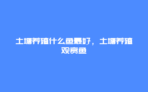 土塘养殖什么鱼最好，土塘养殖观赏鱼