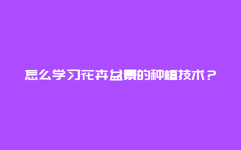 怎么学习花卉盆景的种植技术？