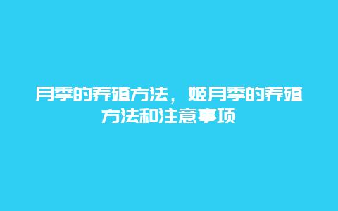 月季的养殖方法，姬月季的养殖方法和注意事项