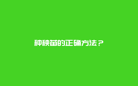 种秧苗的正确方法？