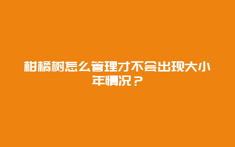 柑橘树怎么管理才不会出现大小年情况？